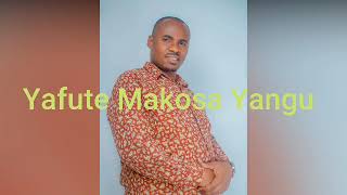 Nkuba Msemakweli  Yafute Makosa Yangu Official Lyrics Video Gospel song 2024 [upl. by Hahnke473]