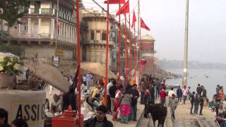 Varanasi by the ghats [upl. by Enyad580]