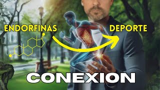 La MAGICA conexion entre las ENDORFINAS y el DEPORTE [upl. by Mcgaw]