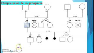 CÓMO INTERPRETAR UN GENOGRAMA [upl. by Adnilemreh]