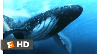 5Headed Shark Attack 2017  Humpback Whale vs 4Headed Shark Scene 310  Movieclips [upl. by Leopold]