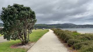 Lonely and windy Whitianga Buffalo Beach Walk Beautiful Coromandelscenic beach tsunamiarea sea [upl. by Nelag602]