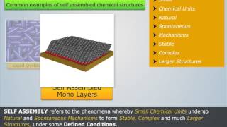 What is Self Assembly  Engineering Chemistry [upl. by Essenaj]