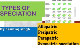 types of speciation in hindi  allopatricperipatricparapatric or sympatric speciation [upl. by Birecree]