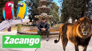 El Nuevo Zoológico de Zacango 🤯🇲🇽 [upl. by Aratihc361]