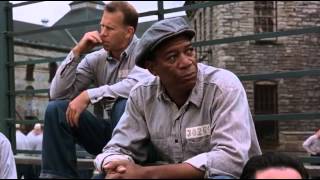 Shawshank Redemption  Institutionalized [upl. by Ahsauqram]