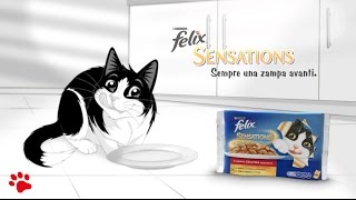 PURINA FELIX SENSATIONS in squisita gelatina insaporita [upl. by Baptiste]