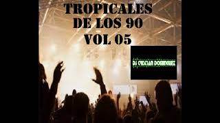 TROPICALES DEL 90 VOL 05 Dj Cristian Dominguez [upl. by Ariem]