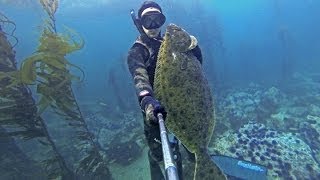 Spearfishing California Trophy Halibut [upl. by Eilyah711]