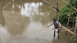 চোখ জুড়ানো গ্রামের প্রকৃতির সৌন্দর্য। লোকেশন  গোয়ালবাথান  সরিষাবাড়ী জামালপুর । [upl. by Occer498]