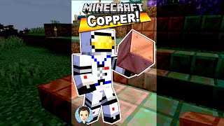 How You Can Get Minecraft Copper Ore Uses Builds Facts  YouTube shorts [upl. by Ursas]