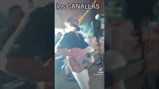 Los CANALLAS en una BODA en Utrera muy divertida con guitarra piano y batería musica bodas [upl. by Llenrup]