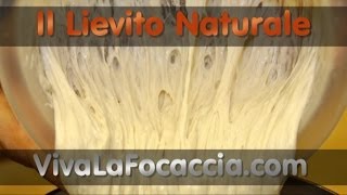 Ricetta per Fare il Lievito Naturale Lievito Madre LiCoLi o Pasta Madre in Casa [upl. by Seabrooke582]