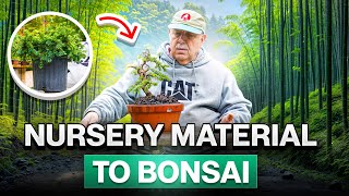 How to make a bonsai from nursery material [upl. by Menell]