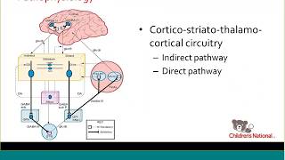 Overview of pediatric movement disorders [upl. by Enitsirt849]