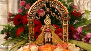 BAPS Swaminarayan Dhun Jaydeep Swadia [upl. by Raouf]