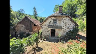 STUNNING RIVERSIDE LOCATION for this cozy 3 bedroom home with 37 hectares of land [upl. by Anasiul279]