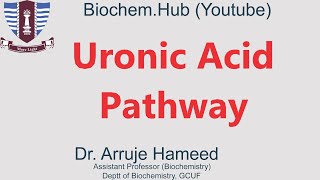 Lec 12 Uronic Acid Pathway [upl. by Enaujed]