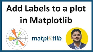 6 How to add labels to a plot in Matplotlib  Python Matplotlib Tutorial for Beginners Amit Thinks [upl. by Carnay]