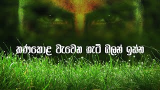 තණකොළ වැවෙන හැටි බලන් ඉන්න  Sinhala Motivational Video [upl. by Htieh366]