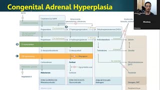 شرح أصعب موضوع في ال Endocrine  Congenital Adrenal Hyperplasia USMLE [upl. by Satterlee]