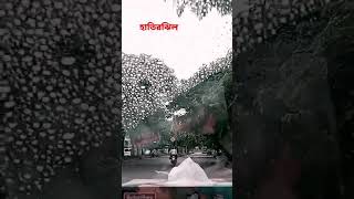 Harirjheel nature music lovesong love dhaka dhakacity hatirjheel lovesong [upl. by Berglund121]