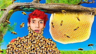 🔴Fabrico Miel con Peligrosas Abejas Salvajes que Atrapé🍯🐝 [upl. by Wardle543]