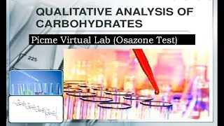 Qualitative analysis of carbohydrates Osazone Test  PICME Labs  Biochemistry I [upl. by Sampson779]