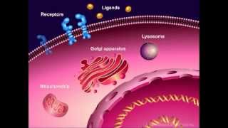 Introduction to Cancer Biology Part 1 Abnormal Signal Transduction [upl. by Adolphe]