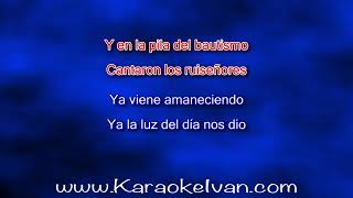 Alejandro Fernandez  Las Mañanitas KARAOKE [upl. by Natica]