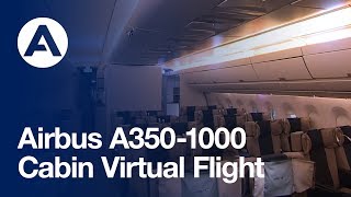 A3501000 Cabin Virtual Flight [upl. by Eimmelc194]