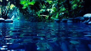 Water Sounds for Sleep or Focus  White Noise Stream 10 Hours [upl. by Pirzada]