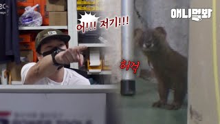 ＂꼭꼭 숨어라 족제비 털 보일라＂ 공구 가게에서 숨바꼭질을 하게 된 사연ㅣHow To Rescue A Weasels Living Hiding Themselves [upl. by Adnaluoy923]