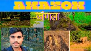 Amazon Jungle Ka Rahasya Hindi Mein  Amazon Rainforest Forest Video Hindi viralvideo tending [upl. by Boony131]