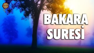 Bakara Suresi  Evdeki Geçimsizliğe Huzursuzluğa Sıkıntılarınıza Şifa  Eyad Mohra [upl. by Arsi]