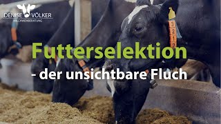 Futterselektion  der unsichtbare Fluch [upl. by Wilmott]