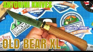 ANTONINI KNIVES OLD BEAR XL FOLDER Knife Review [upl. by Ramat]