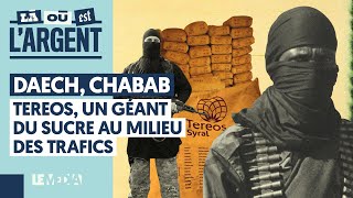 DAECH CHABAB  TEREOS UN GÉANT DU SUCRE AU MILIEU DES TRAFICS [upl. by Lajib741]