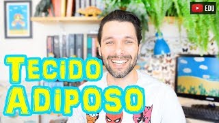 Tecido Adiposo  Histologia  Aula  Biologia com Samuel Cunha [upl. by Innep221]