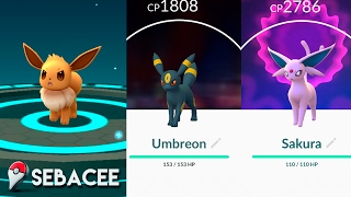 TRUCO COMO EVOLUCIONAR A EEVEE EN UMBREON Y ESPEON EN POKÉMON GO 2 metodos  SebaCEE [upl. by Guadalupe773]