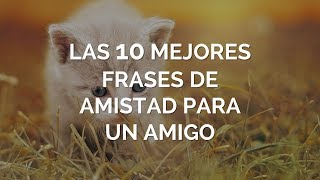 Las 10 Mejores Frases de Amistad Para Un Amigo [upl. by Danna]