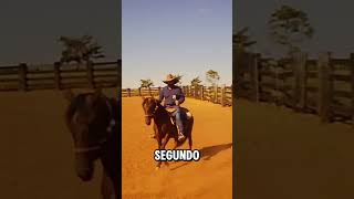 Você conhece esses segredos 😳 escolademuladeiros muladeiros muladepatrao fazenda [upl. by Hahn]