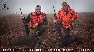 Chasse en Battue de Sangliers  Scènes de Chasse au poste  Chasse HD [upl. by Piefer]