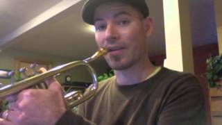 How to Easily Expand Your Trumpet Range without Hurting Yourself [upl. by Jollanta]