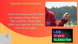 Mes astuces pour une gestion optimale des champs avec tes chevaux Partie1 [upl. by Ennire]