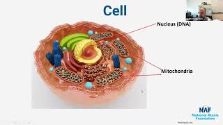 Research amp Treatment Development for Friedreichs Ataxia [upl. by Annadiana]