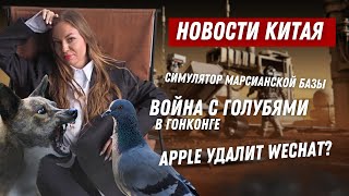 Новости Китая №60  Война с голубями  Симулятор марсианской базы [upl. by Adnwahsat]