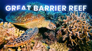 GREAT BARRIER REEF amp CAIRNS  Cinematic 4K Video  Ben amp Mae [upl. by Bashee]