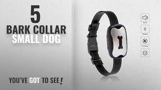 Top 5 Bark Collar Small Dog 2018 Best Sellers Yappy Dog Bark Collar New Version Humanely Stops [upl. by Shalom]