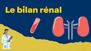 Interpréter un bilan rénal créatinine et urée [upl. by Cyrie845]